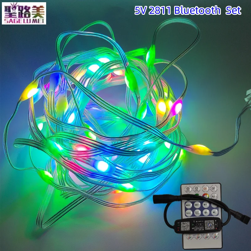 5 м 50 Светодиодов DC5V WS2812B 5050 RGB Светодиодные Гирлянды IP68 С Индивидуальным Адресом Smart Dream Color для Украшения Рождественской Вечеринки
